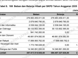 Pilkada Selesai, Hibah Dipangkas: Rahasia Hilangnya Rp163 Miliar dan ‘Bagi-Bagi’ Aset Strategis Daerah