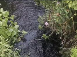 DIMINTA KEMENTRIAN LINGKUNGAN HIDUP DAN GAKUM BERTINDAK PT IYAL BUANG LIMBAH CAIR KE SUNGAI GEDUNG BURU